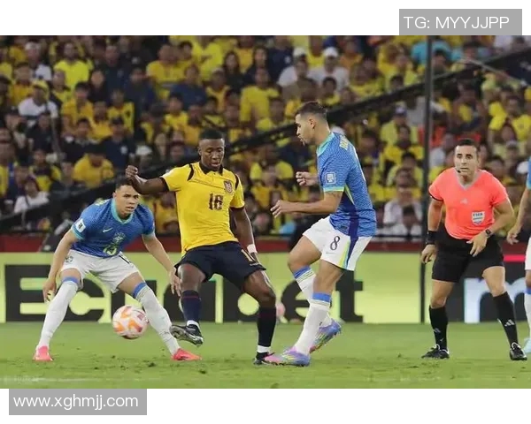 巴西与厄瓜多尔历史交锋战绩分析及近期表现对比