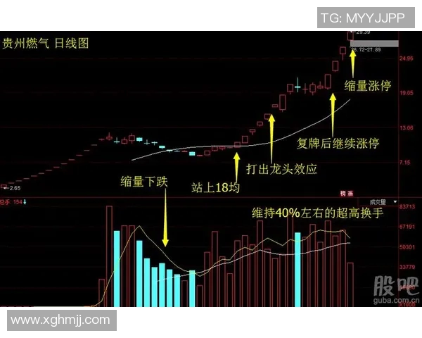 湖人对掘金比赛时间安排及赛程分析一览